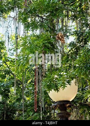 New Orleans, LA USA - 05/08/2019  -  Mardi Gras Beads in Tree with Street Lamp Stock Photo
