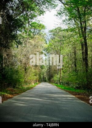 Texas USA - 03/08/2019  -  One Lane Road To Nowhere in South TX Stock Photo