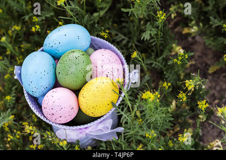 Upper view of Easter eggs collected in a purple bucket, season holiday concept - Image Stock Photo