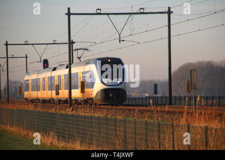 SLT sprinter local commuter train in the evening sun between gouda and Rotterdam in Moordrecht Stock Photo
