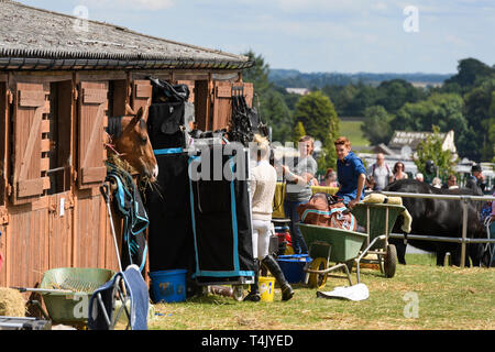 Grooms & entrants in equestrian completion prepare tack in stable yard as horse eating hay, looks over stable door- Great Yorkshire Show, England, UK. Stock Photo