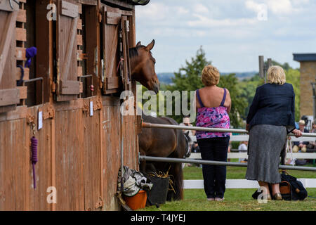 Nosy bay horse looking over stable door (entrant in equestrian competition) & 2 women watching showground event - Great Yorkshire Show, England, UK. Stock Photo