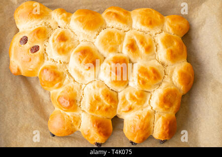 Vegan easter lamb based on yeast dough decorated with powdered sugar and raisins Stock Photo