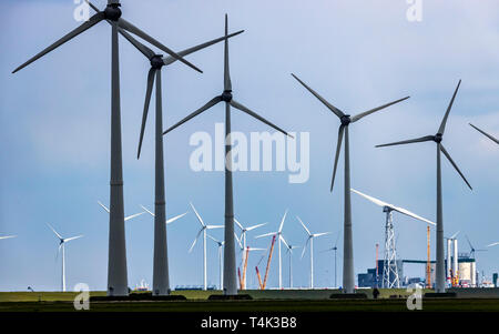 Wind farm Westereems and Growind, altogether over 80 wind turbines, at the seaport Eemshaven, province Groningen, in the northwest of the Netherlands, Stock Photo