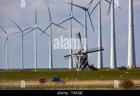 Wind park Westereems and Growind, altogether over 80 wind turbines, at the seaport Eemshaven, province Groningen, in the northwest of the Netherlands, Stock Photo