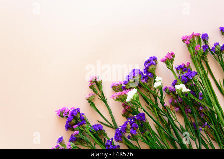 Wavy leaf sea lavender flowers (Limonium) lined up diagonally in the lower right corner on pink bbackground. Top view. Copy space Stock Photo