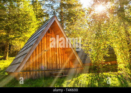 Small natural wooden house hidden far away in a deep green forest on a sunny morning day in autumn Stock Photo