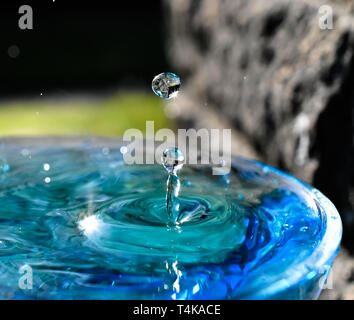 Water droplet formation showing reflections in the sun Stock Photo