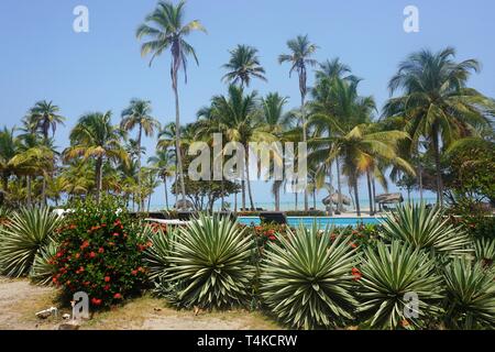 Picture Postcard View through Palm Trees towards the Caribbean Sea Stock Photo