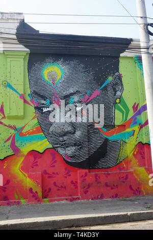 Larger than Life Street Art Portrait of a Young Indigenous Woman Stock Photo