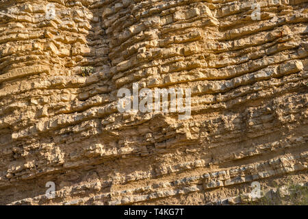 Limestone and shale layers of Boquillas Formation near Hot Springs, Big Bend National Park, Texas, USA Stock Photo