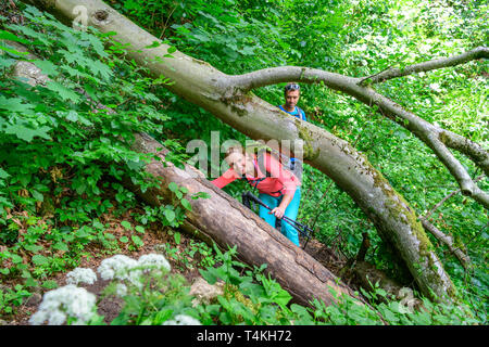 Adventural tour on challenging trail in forest Stock Photo