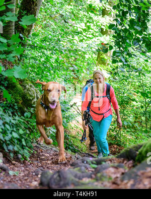 Hiking on rooty foot path in forest Stock Photo