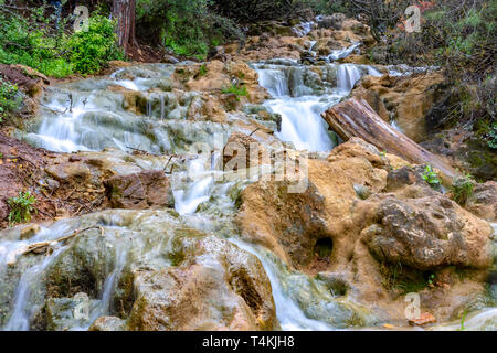 Small cascades of waterfalls on a mountain stream in the spring. Parod River. Israel. Landscape Stock Photo