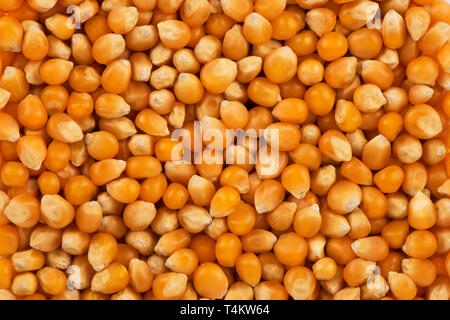 Top view on background texture of natural kernel of corn. Copy space for your text. Stock Photo