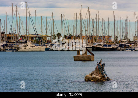 Denia, Alicante, Spain, november 21, 2018: Sailboats in the port and a cormorant on a structure in the water Stock Photo