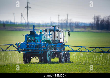 Blue tractor with spraying device in green field Stock Photo