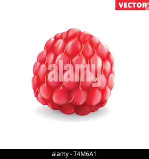 Raspberry. Sweet fruit. 3d vector icon Realistic Stock Vector