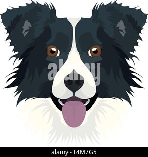 Illustration Border Collie | For all Dog owners. What you love about his dog? Puppy dog ​​eyes, wagging tail, smiling, barking. The Border Collie is a Stock Vector