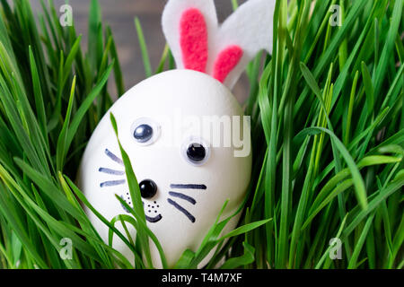 Funny easter eggs cute bunny in the grass. Happy Easter background. Creative Easter egg decoration ideas with easter bunny Stock Photo