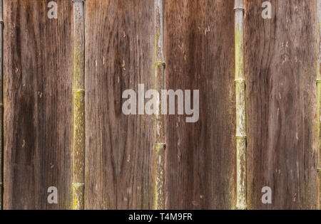 Old bamboo and wooden planks wall with musk as background Stock Photo