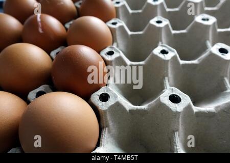 Eggs, one of the most common food around the world that have been eaten by humans for thousands of years, in paper tray, half used. Close up. Stock Photo