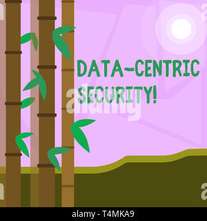 Word writing text Data Centric Security. Business photo showcasing Identify and protect data wherever it resides Colorful Sets of Leafy Bamboo on Left Stock Photo