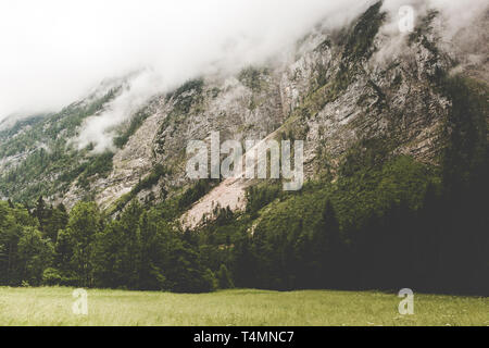 Alpine mountains and wall of deep green forest. Walk in summer day in ...
