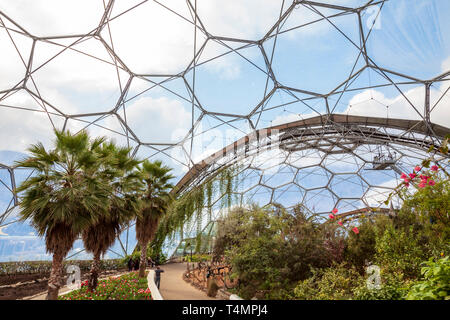 Inside the Mediterranean Biome at the Eden Project, Cornwall, England Stock Photo