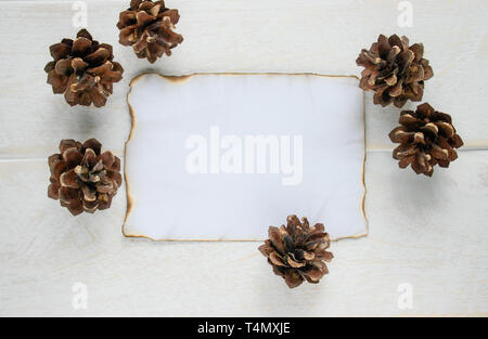 On white wooden boards, a sheet of paper burned along the edges, forest cones around the edges. Leaving space for text. Concept background. Stock Photo
