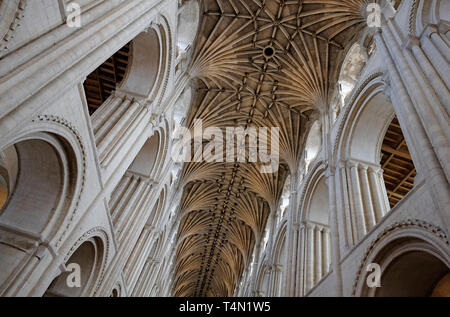 fan vaulted ceiling in norwich cathedral, norfolk, england Stock Photo