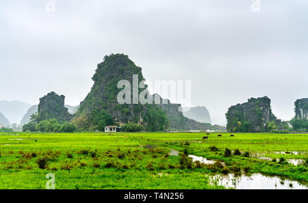 Trang An Scenic Landscape Complex in Vietnam Stock Photo