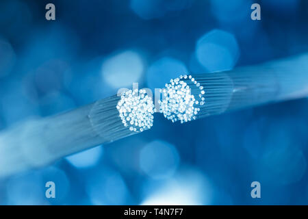 Optic fiber cable connecting Stock Photo
