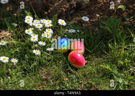 Easter traditions. Compositions with painted Easter eggs. Stock Photo