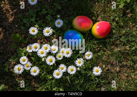 Easter traditions. Compositions with painted Easter eggs. Stock Photo