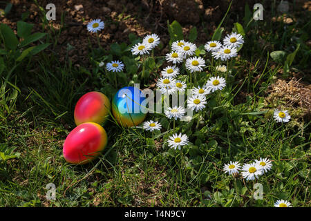 Easter traditions. Compositions with painted Easter eggs. Stock Photo