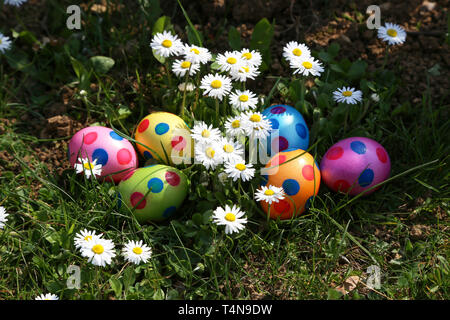 Easter traditions. Compositions with painted Easter eggs. Stock Photo