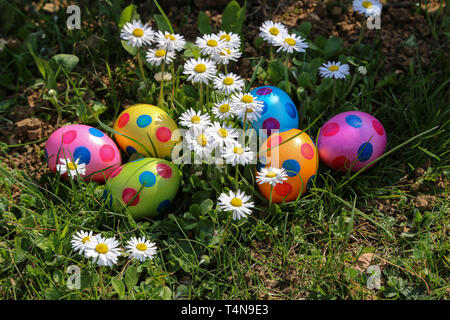 Easter traditions. Compositions with painted Easter eggs. Stock Photo