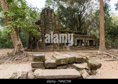 Ta Prohm temple close to the Banteay group in Angkor, Cambodia which includes Angkor Wat. UNESCO World Heritage site Stock Photo