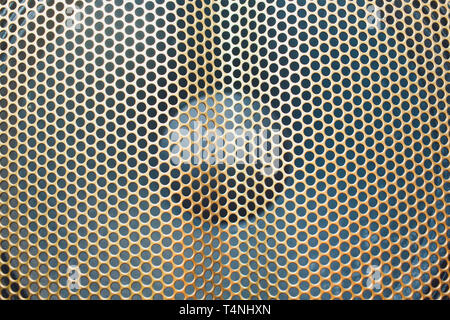 Musical powerful speaker with a protective grill close-up. Stock Photo