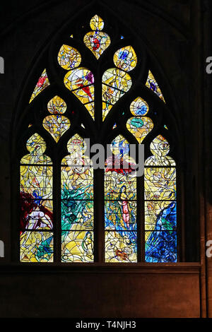 Stained glass window of Chagall, garden eden - Cathedral of Metz / France