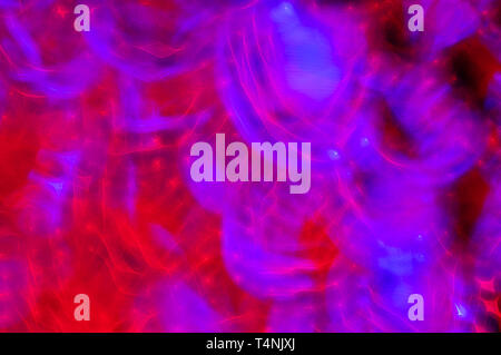Abstract LED background. Neon light. Abstract background with neon glow. Stock Photo