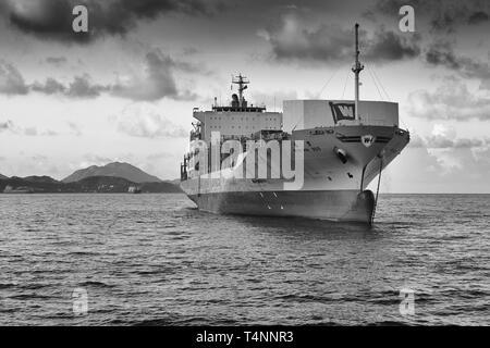 Black And White Photo Of The WAN HAI LINES Container Ship, WAN HAI 303, Anchored Off Green Island, Victoria Harbour, Hong Kong. Stock Photo