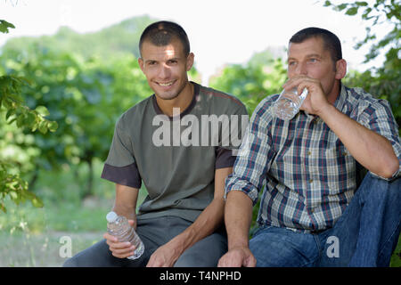 portrait of two vineyard workers having a break Stock Photo