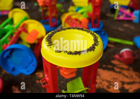 Kid colourful toys with man made safe sand from cassia tora seed Stock Photo