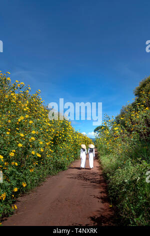 Da Lat Town, Lam Dong Province, Vietnam - November 11, 2018: Two young girls in a traditional long dress walking on the path of countryside between th