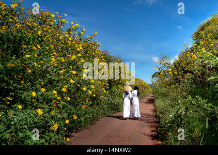 Da Lat Town, Lam Dong Province, Vietnam - November 11, 2018: Two young girls in a traditional long dress walking on the path of countryside between th