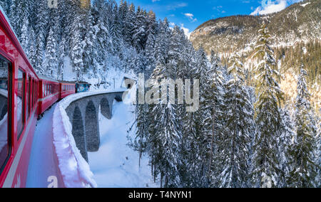 Bernina Express train passing along snowy woods on Wiesen Viaduct, Davos, canton of Graubunden, Switzerland