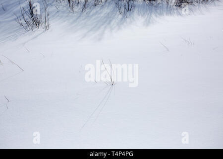 Fragment of a snowy meadow. Smooth snow surface as a background or texture Stock Photo