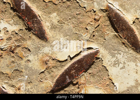 macro of a rusty steel bottom plate Stock Photo